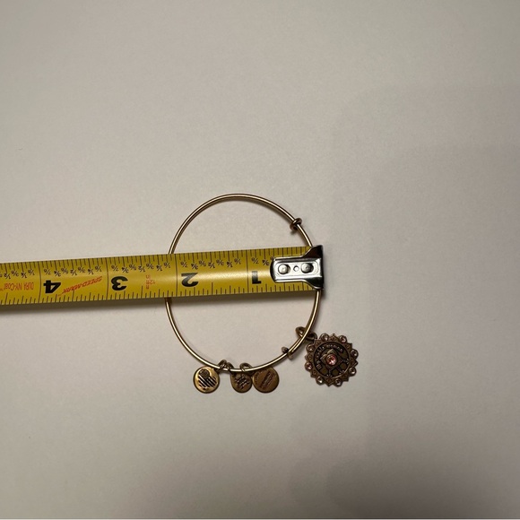 Alex and Ani Maid of Honor My Noble Woman Bracelet 2017 - Picture 7 of 7